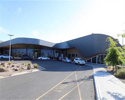 PGT胚胎筛查：提升代生助孕成功率与实现性别选择的关键？