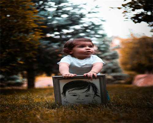 一代与二代助孕服务价格对比：成功率与安全性全面解析